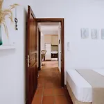 Forest House Near The Sea Sani (Chalkidiki)