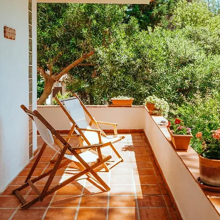 Forest House Near The Sea Apartman *