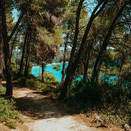 Forest House Near The Sea * Sani (Chalkidiki)