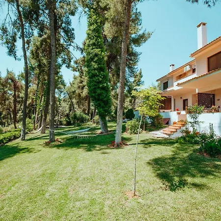 Forest House Near The Sea Sani (Chalkidiki)
