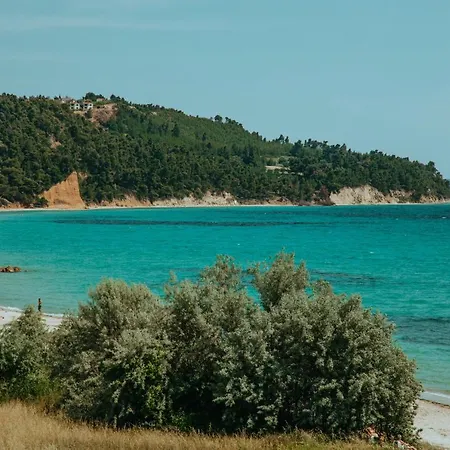 Forest House Near The Sea