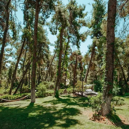 Forest House Near The Sea Apartment *