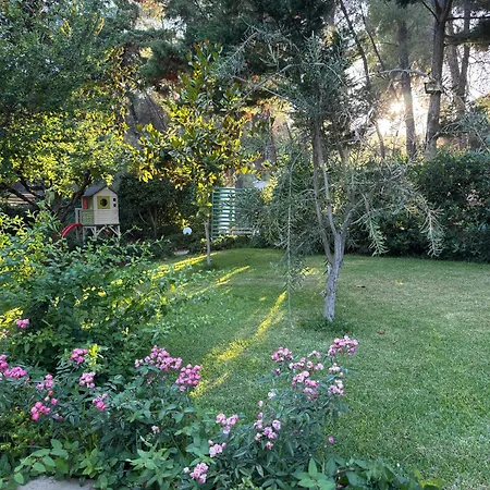 Forest House Near The Sea Apartment Sani (Chalkidiki)