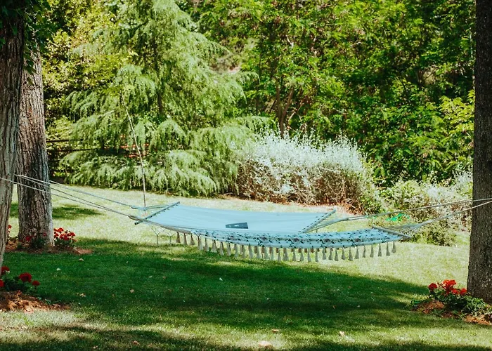 Forest House Near The Sea