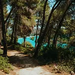 Forest House Near The Sea * Sani (Chalkidiki)