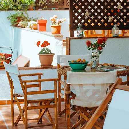 Forest House Near The Sea Lejlighed Sani (Chalkidiki)