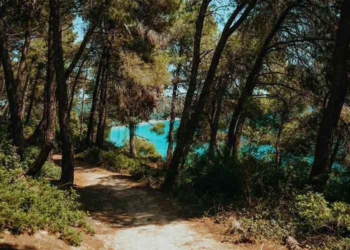 Forest House Near The Sea * Sani (Chalkidiki)