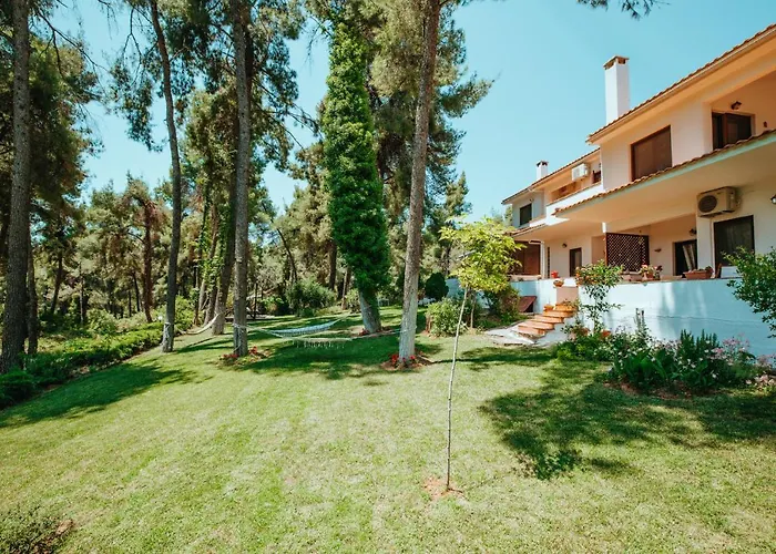 Forest House Near The Sea Sani (Chalkidiki)