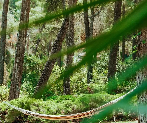 Forest House Near The Sea Sani (Chalkidiki)