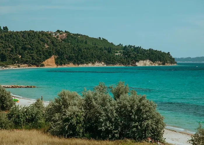 Forest House Near The Sea