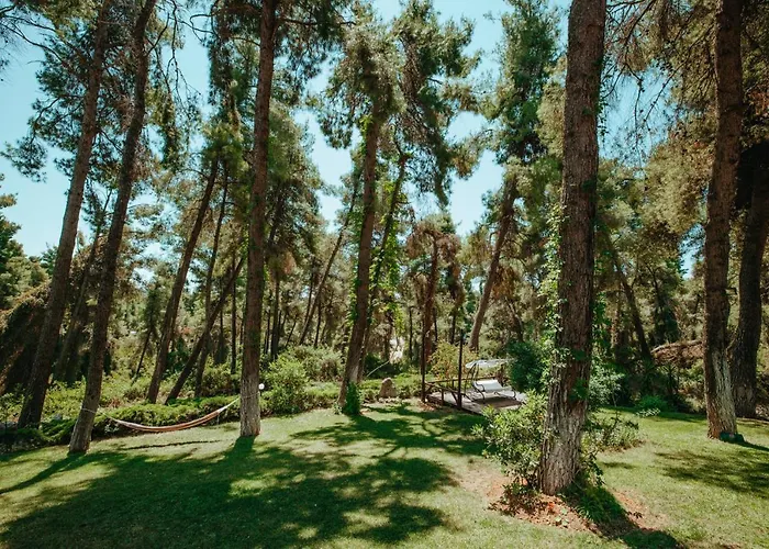 Forest House Near The Sea 아파트 *